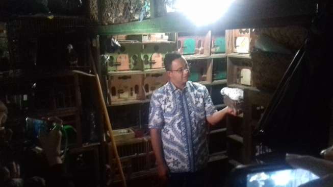 Calon Gubernur DKI Jakarta Anies Baswedan membeli burung di Pasar Burung Pramuka, Jakarta Pusat, Selasa (2/5/2017). (suara.com/Dian Rosmala)