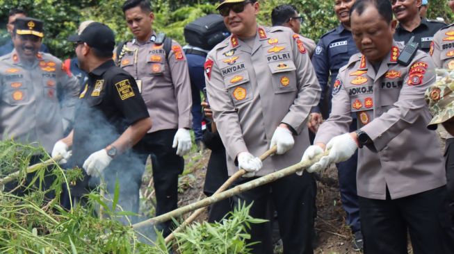 Kapolda Aceh Pemusnahan Hektar Ladang Ganja Selamatkan Juta Jiwa