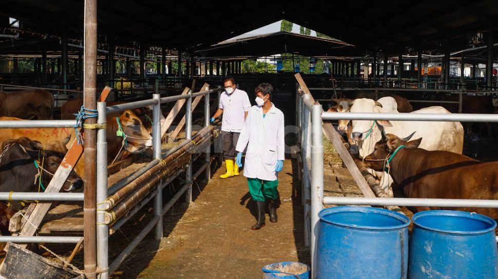 Persiapan Rumah Pemotongan Hewan Jelang Idul Adha Bagian