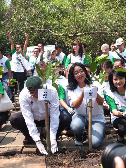 Devy mengibaratkan apa yang dilakukannya bersama WWF adalah menebar benih. (Dok. WWF INdonesia)