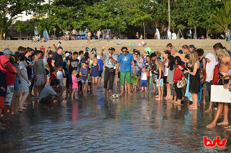 Aksi pelepasan tukik penyu oleh Komunitas Bali Sea Turttle Society. (Dok. Komunitas BSTS)