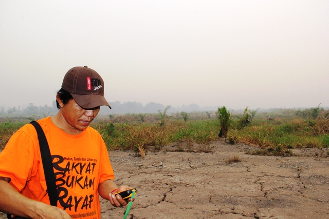 Warga Dayak Ngaju menunjukkan perkebunan sawit milik PT. KLM yang masih berumur dua bulan di Kuala Kapuas, Kalteng. [suara.com/Laban Laisila]