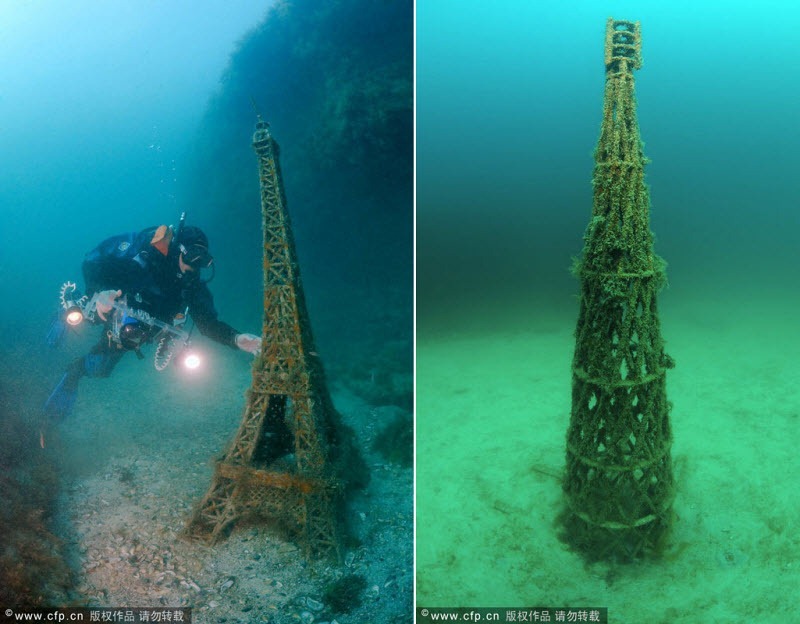 Museum bawah air ini memiliki sekitar 50 patung. (Foto: Andrey Nekrasov)