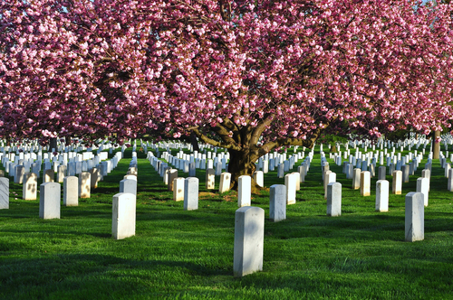 Arlington National Cemetery, Washington DC. (Shutterstock)