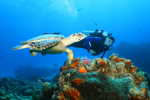 Cozumel, Meksiko. (Shutterstock)