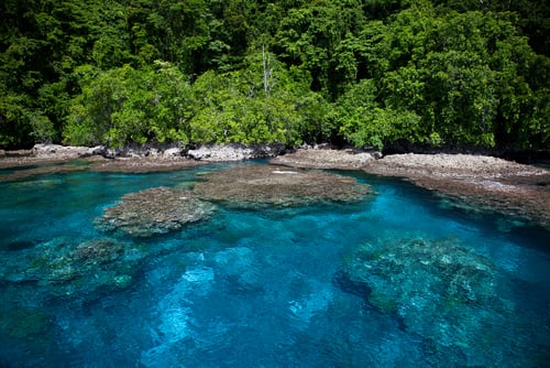  Kepulauan Solomon. (Shutterstock)