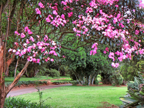 Wylie Park, Pietermaritzburg. (Shutterstock)