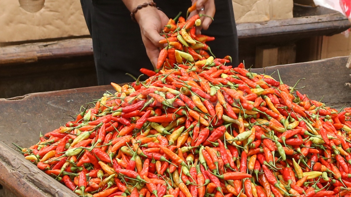 Harga Cabai Masih 'Pedas', Bapanas Siapkan Intervensi