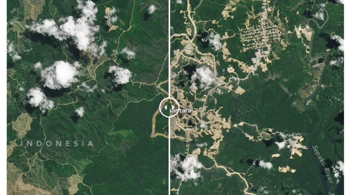 NASA Soroti Pembangunan IKN dari Satelit, Singgung Kekhawatiran Ilmuwan
