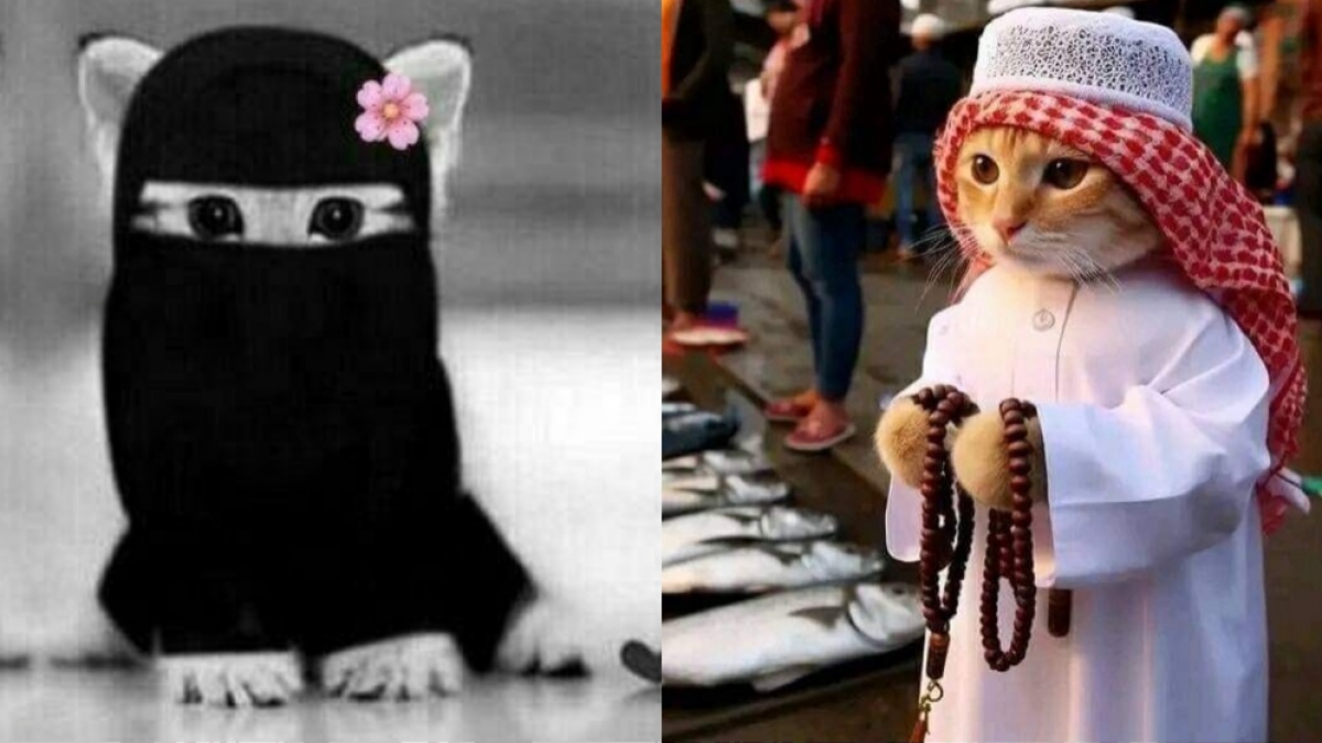 25 Foto PP Kucing Ramadhan 2024 Lucu: Cosplay Pak Ustaz hingga Berhijab
