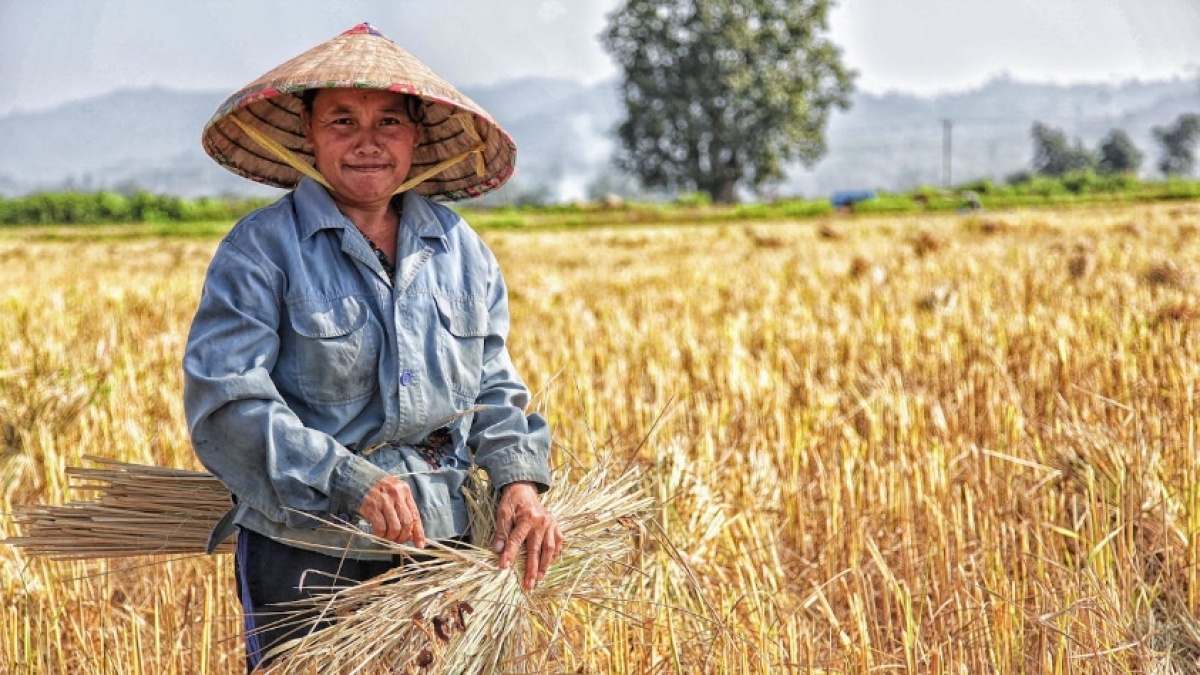 Bagaimana Teknologi Ramah Lingkungan Bisa Bantu Petani Kurangi Emisi dan Biaya Produksi?