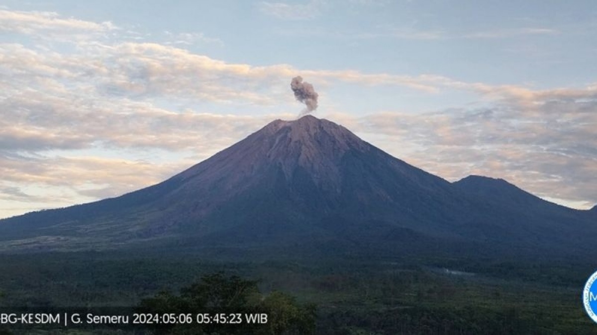 Gunung Semeru Mengamuk! Erupsi 8 Kali dalam Sehari dan Semburkan Abu Vulkanik