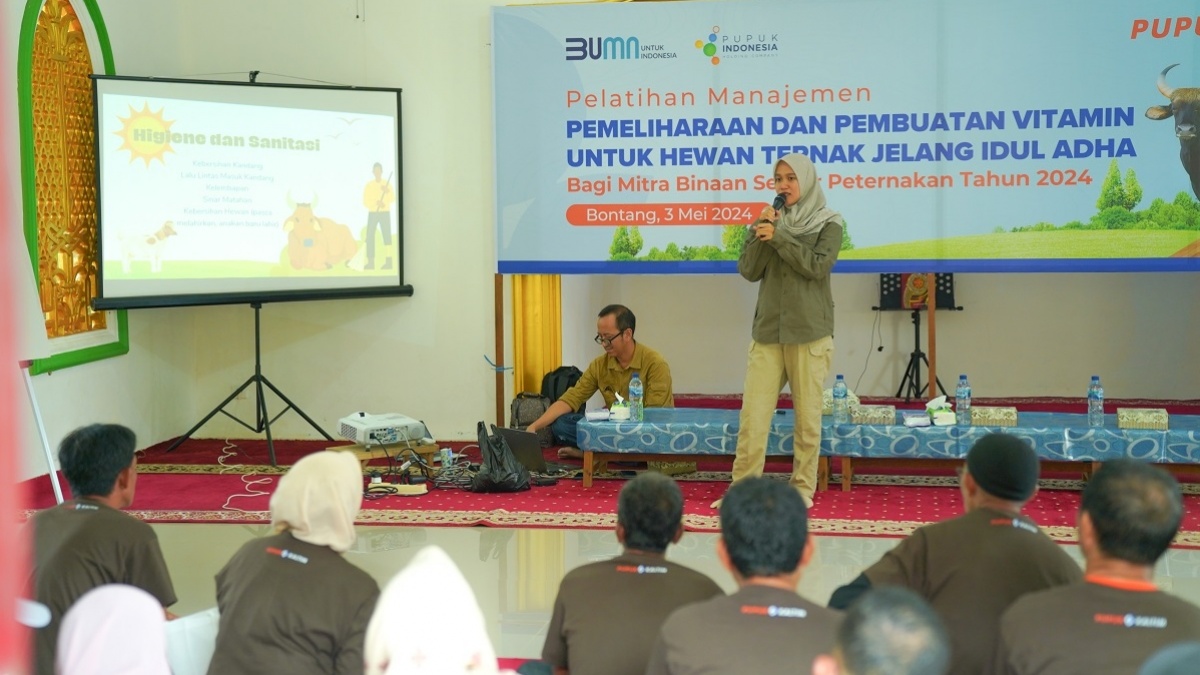 Pastikan Kesehatan Hewan Jelang Idul Adha, PKT Bekali Peternak Binaan Manajemen Pemeliharaan dan Pemberian Vitamin