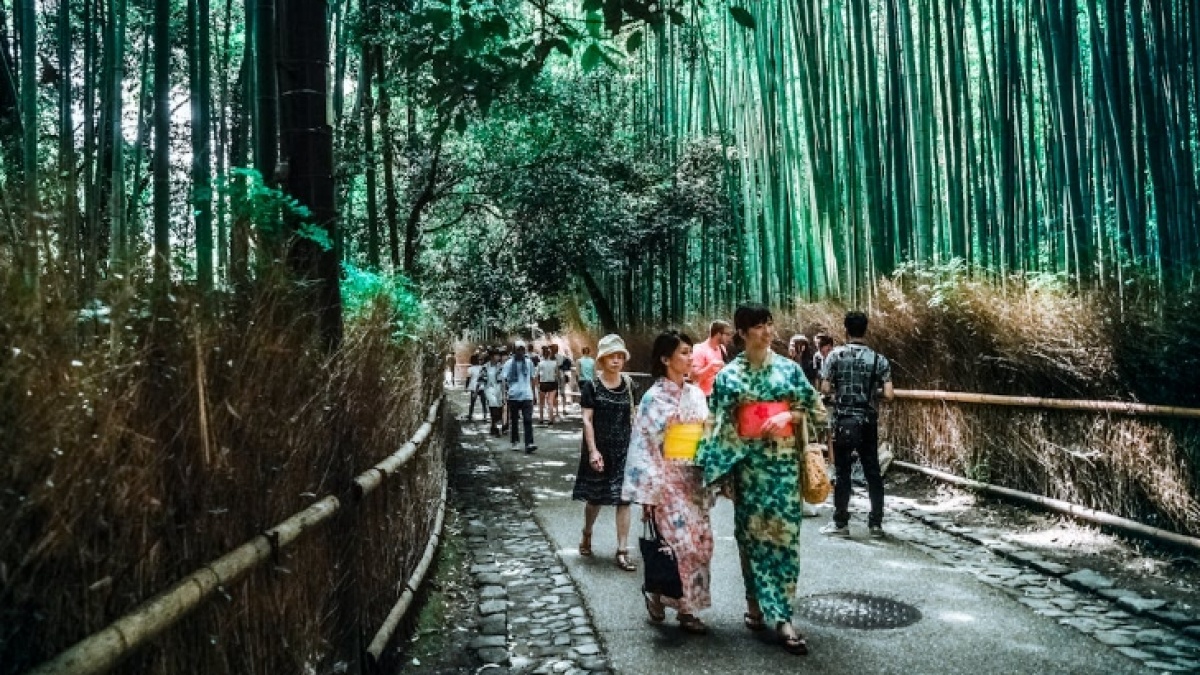 Belajar dari Jepang, CORE Indonesia Dorong Pemanfaatan Budaya untuk Pertumbuhan Ekonomi