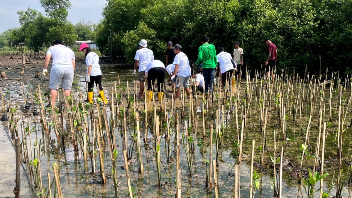 Cegah Abrasi, Perusahaan Ini Tanam 1.000 Bibit Mangrove di Dekat Bandara Soetta