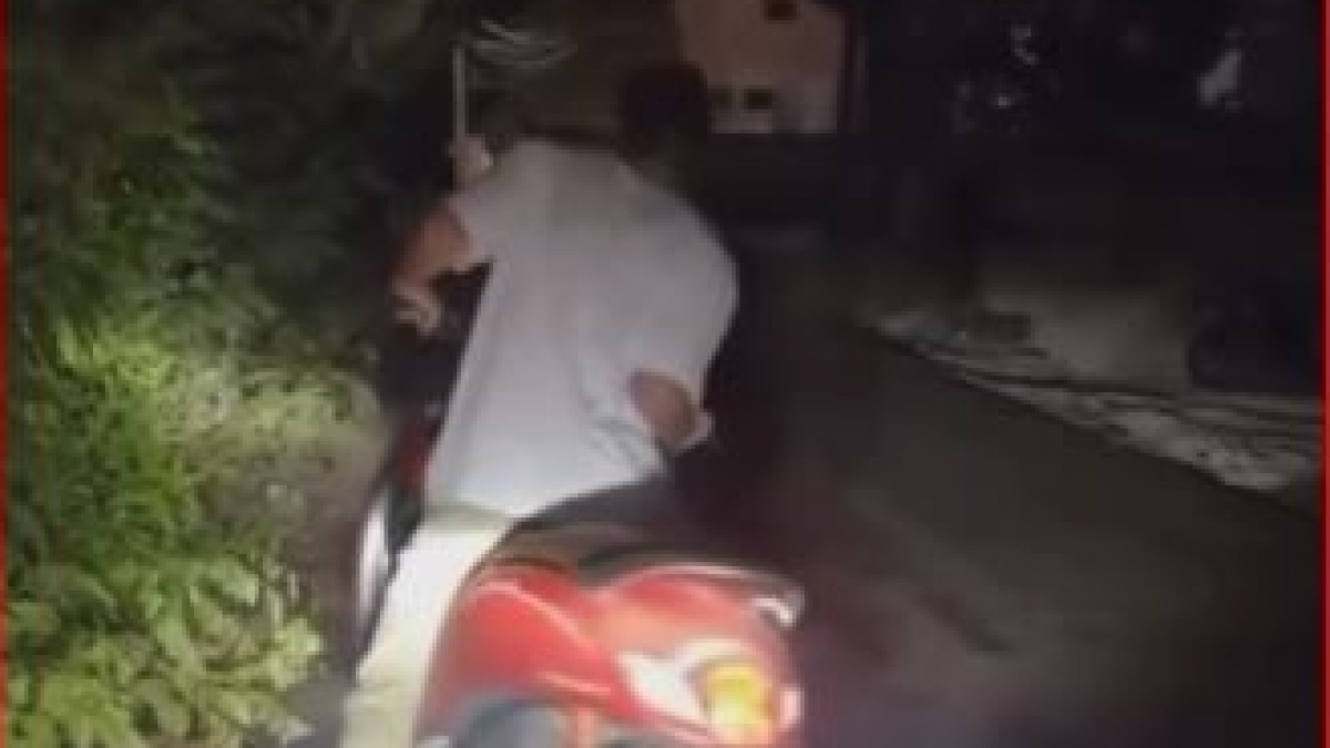 Kriteria Bule di Bali Tentang Cowok Redflag Ini Agak Lain, Naik Motor Scoopy