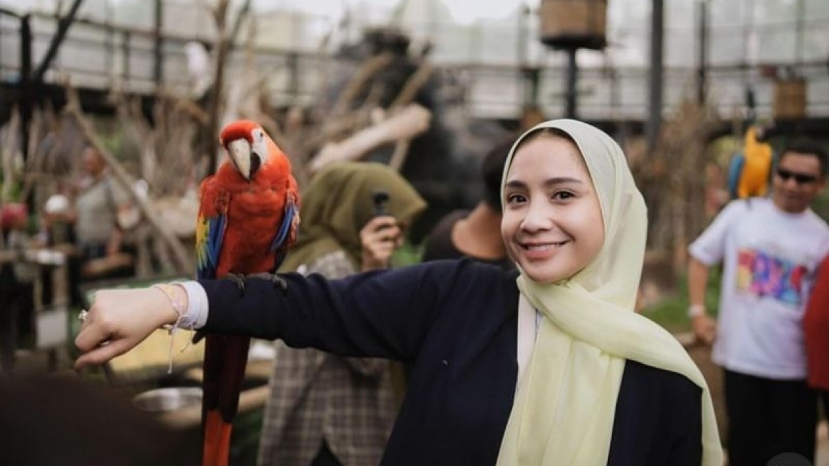 Nagita Slavina Diusulkan Jadi Cawagub Pendamping Bobby Nasution, Riwayat Pendidikan Disorot: Lulusan Australia?