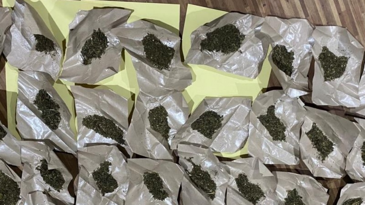 Polisi Ciduk Pengedar Ganja 6,2 Kilogram di Depok usai Dapat Laporan Warga