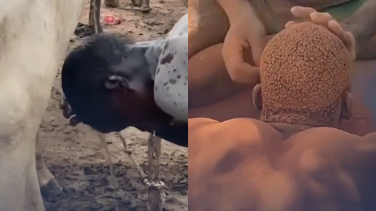 Rambut Merah Bata, Rahasia Kecantikan Ekstrem Suku Mundari dari Air Kencing Sapi
