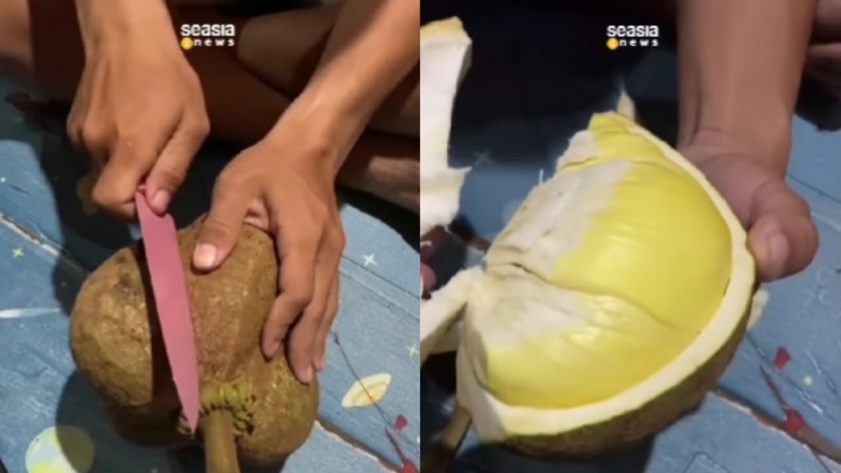Heboh Durian Tanpa Duri di Thailand, Cara Membelahnya Jadi Super Effortless