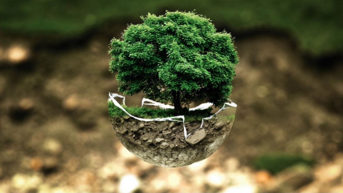 Waspada Greenwashing, Klaim Ramah Lingkungan yang Tak Selalu Hijau