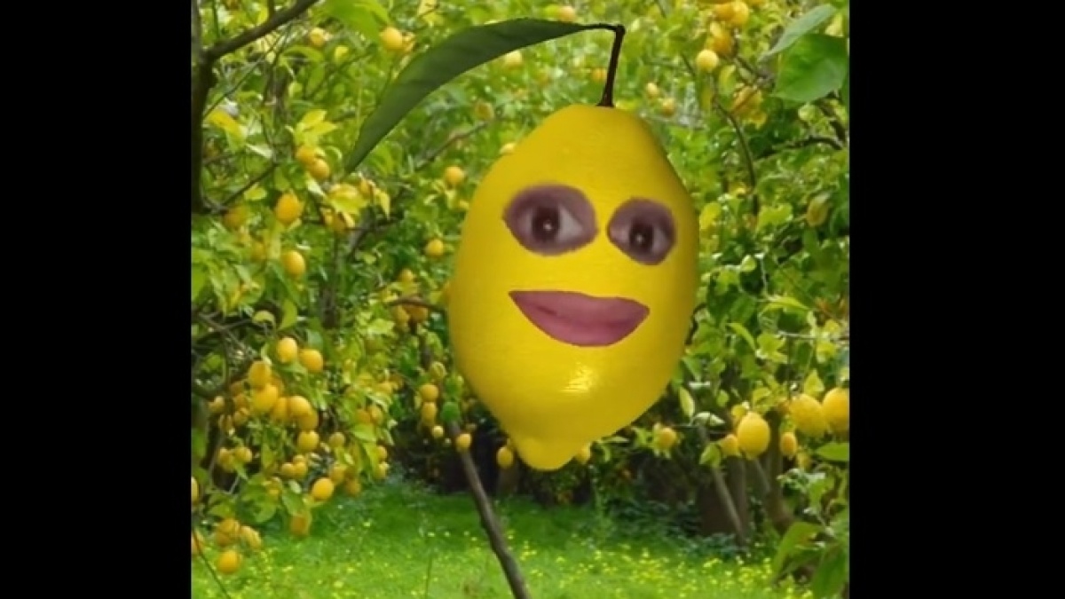 Nama Filter Lemon yang Dipakai Nikita Mirzani Bikin Video Ngamuk-ngamuk Tapi Tetap Kocak