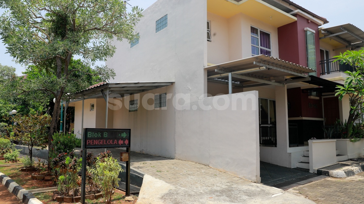 6 Langkah Mengusir Tikus dari Rumah Dinas Anggota DPR, Mudah dan Efektif!