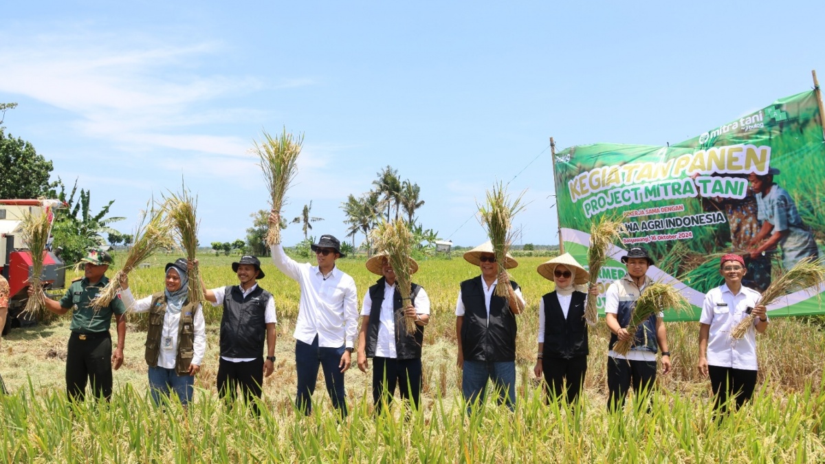 Serap Panen di Banyuwangi, Bentuk Konsistensi Program Mitra Tani Perum Bulog