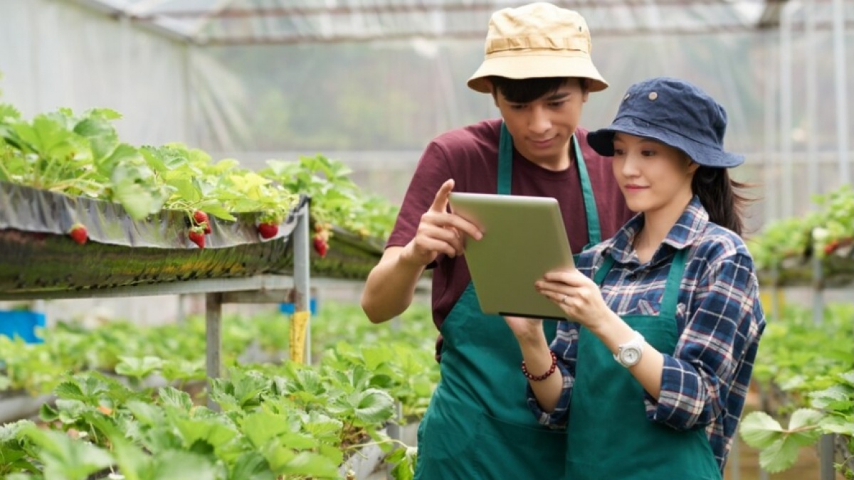 6 Fakta Petani Milenial Dapat Gaji Rp10 Juta