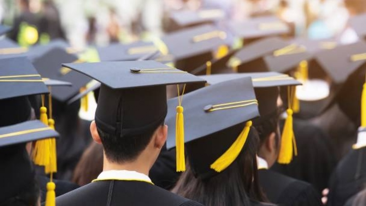 Daftar 25 Universitas Top Indonesia untuk Jurusan Psikologi 2024