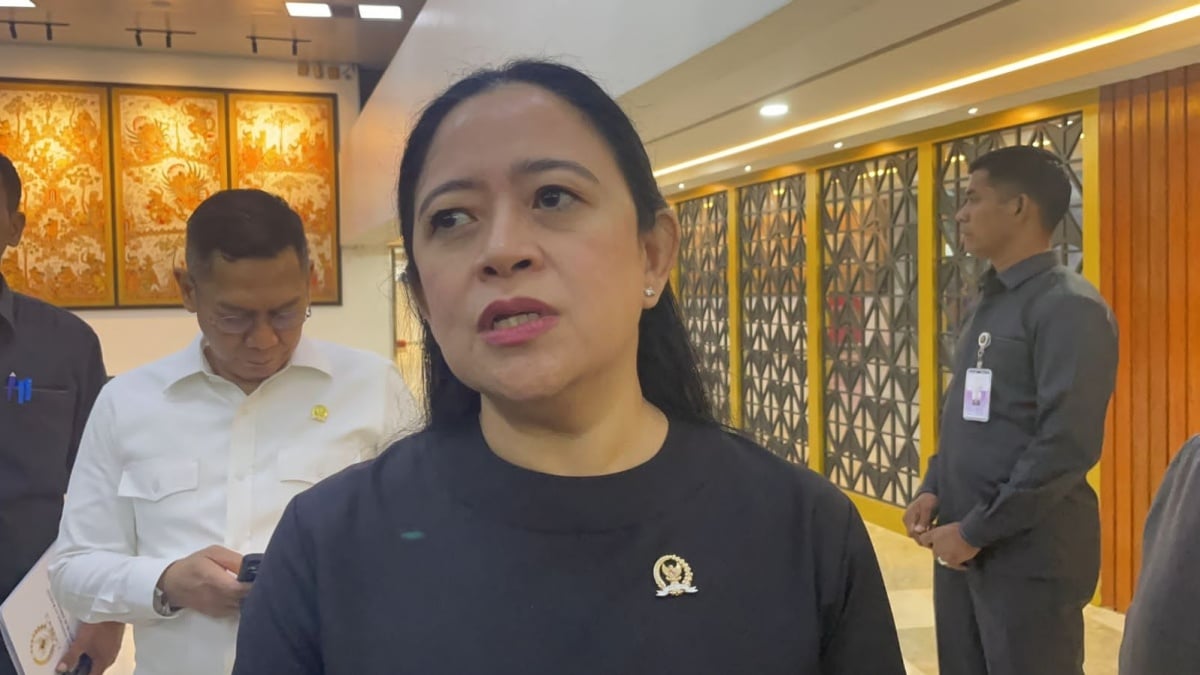 Puan Sebut Wajar Ada Kader PDIP Laporkan Budi Arie: Pasti Ada yang Tersakiti