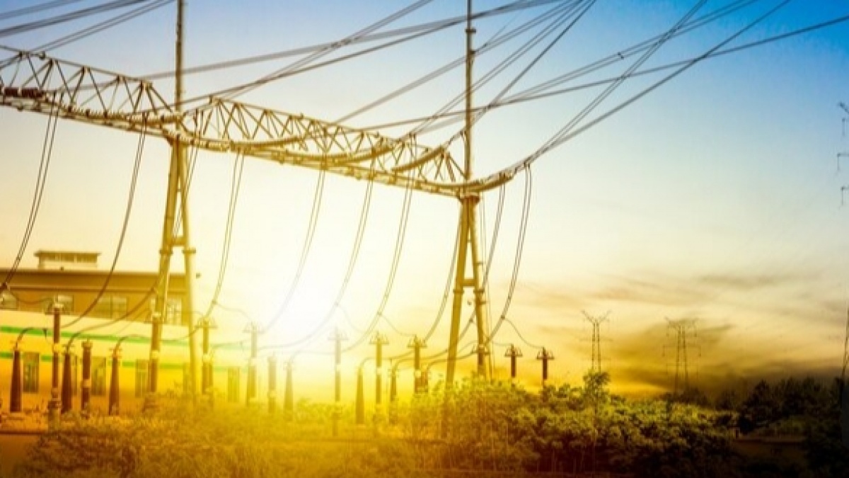 PPN Listrik PLN Berapa Persen? Diskon 50 Persen Khusus untuk Pengguna Ini