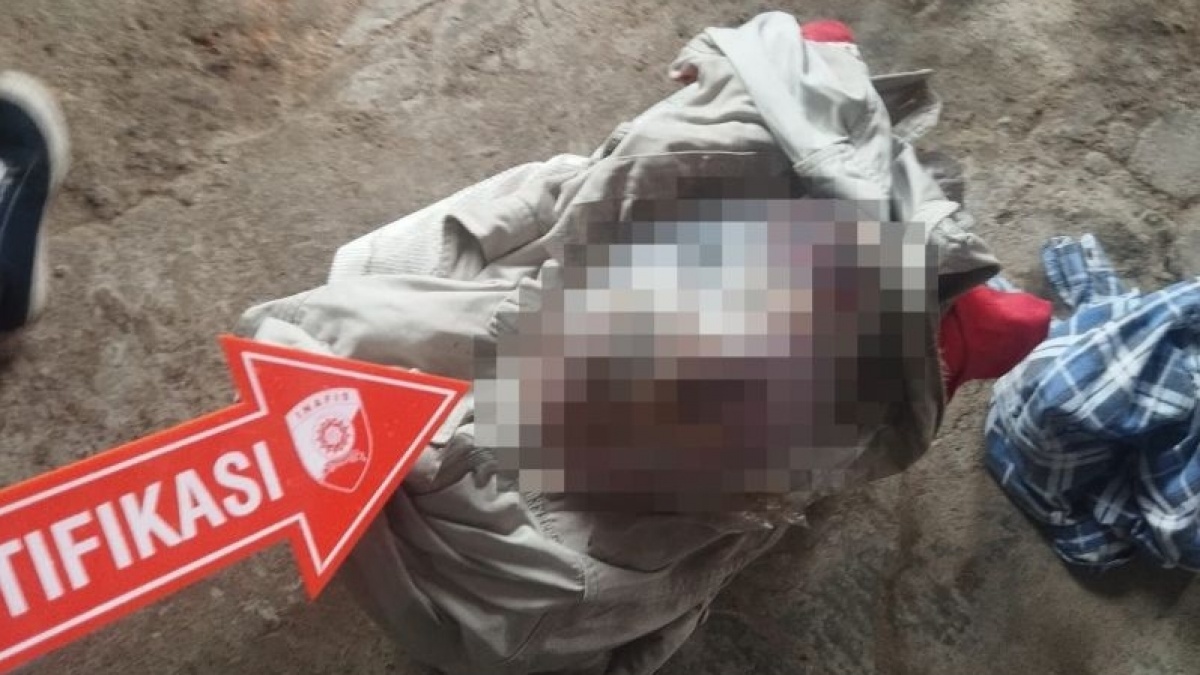 Sempat Digigit Anjing, Mayat Bayi di Bukittinggi Tewas Termutilasi: Tubuh Terpotong 3 Bagian!