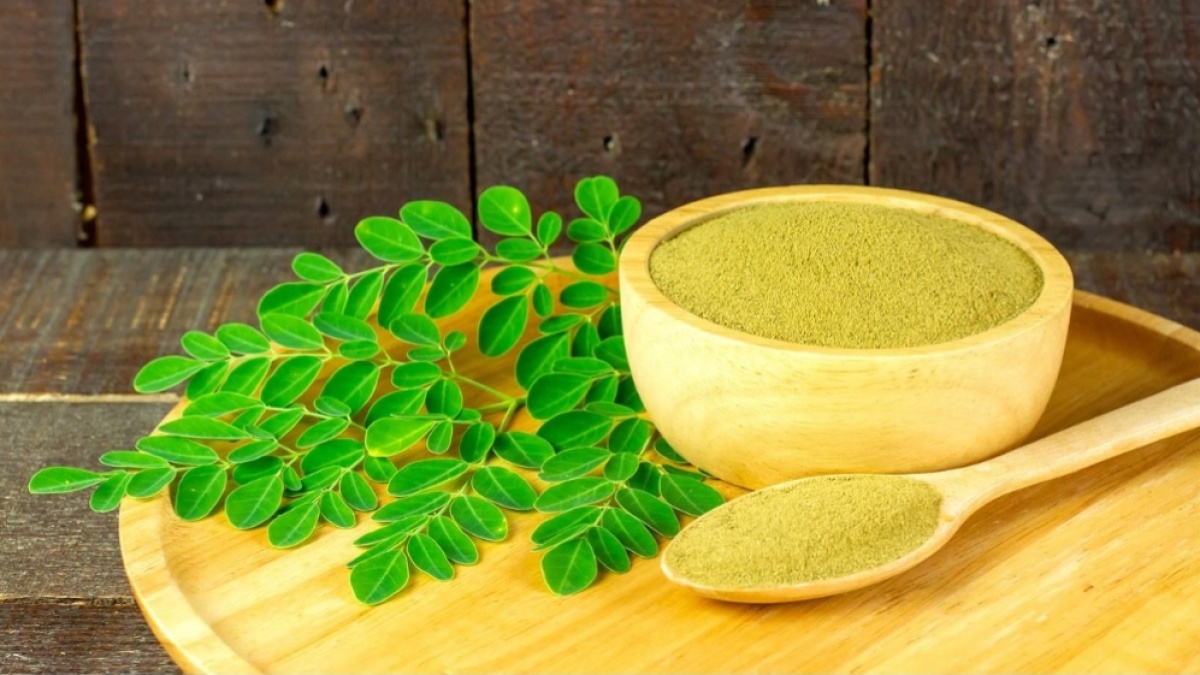 10 Manfaat Daun Kelor, Disebut Bisa Gantikan Susu untuk Program Makan Bergizi Gratis