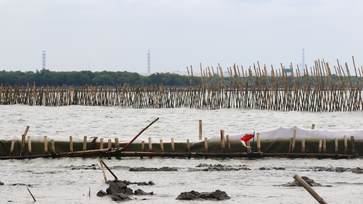 Tak Cuma di Tangerang dan Bekasi, Ratusan Pagar Laut Bertebaran di Batam hingga Surabaya