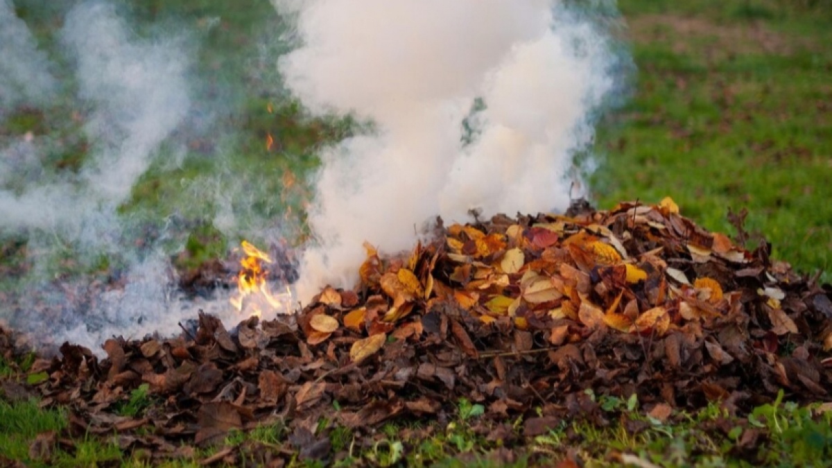 Jakarta Jangan Ikut Sumbang Polusi Lewat Bakar Sampah