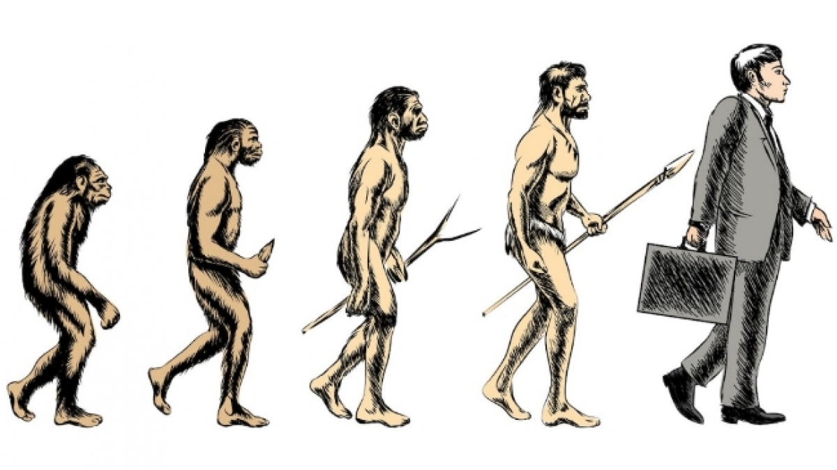 Seberapa Cepat Evolusi Bekerja? Bisakah Terjadi dalam Semalam?