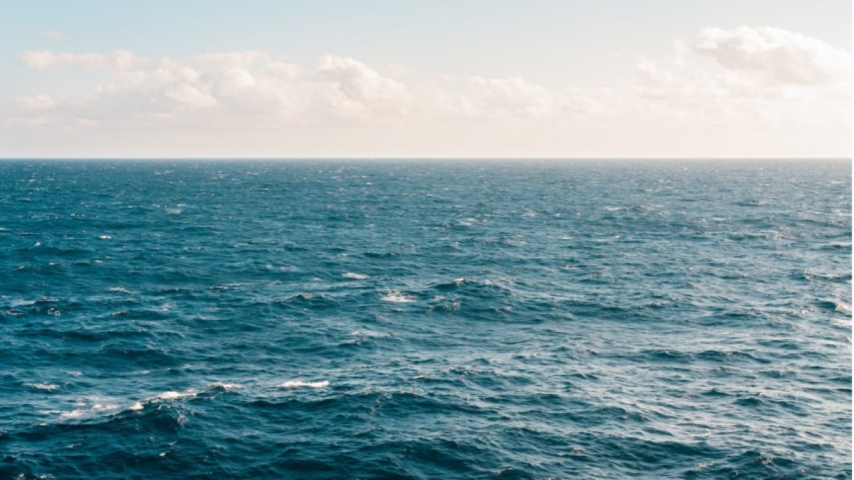 KTT Kelautan PBB di Nice Jadi Momentum Global Lindungi Laut, Apa Tantangannya?