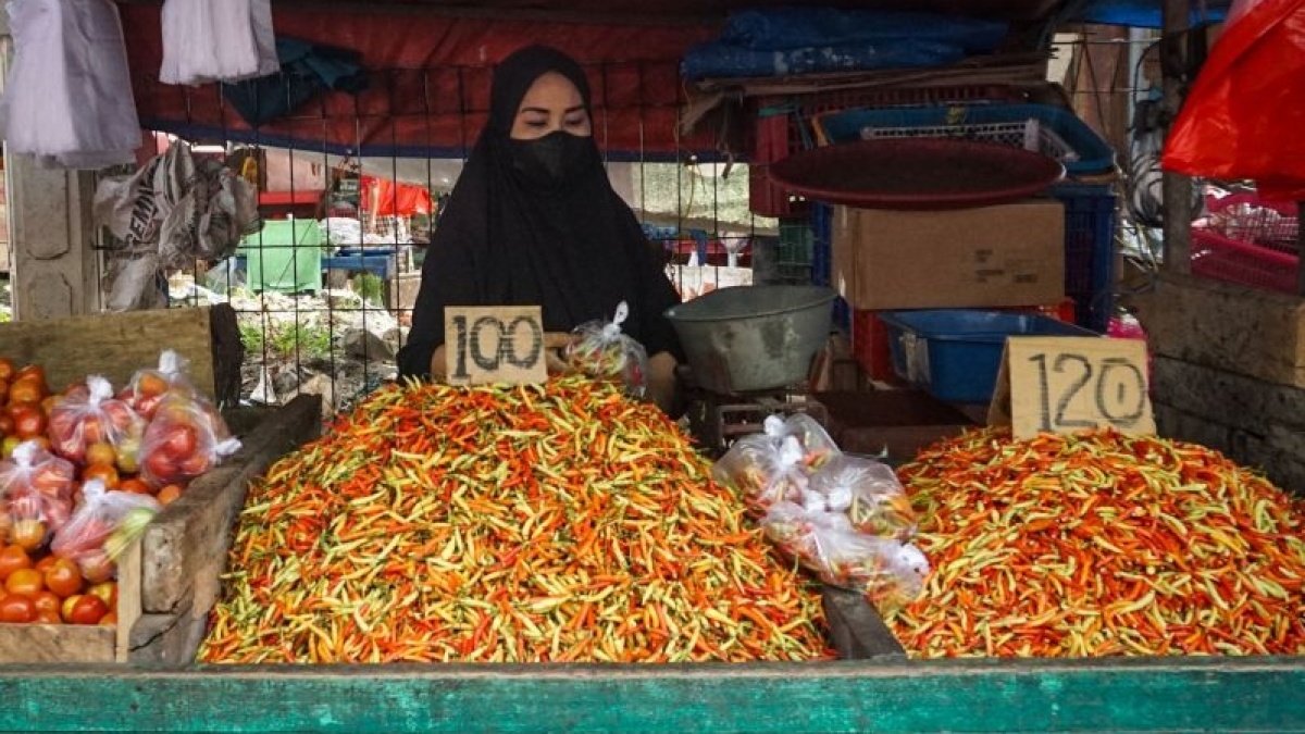Harga Cabai Tak Kunjung Turun Masih Rp 70.000 per Kg, Apa Penyebabnya?