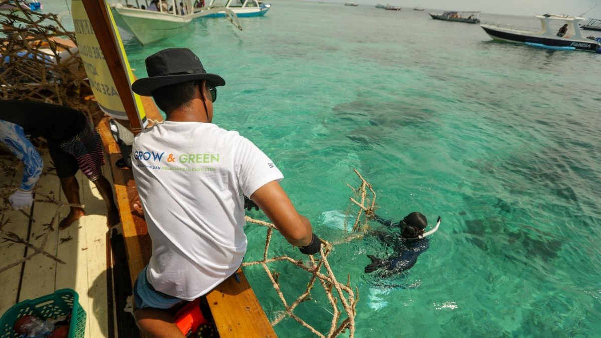 BRI Menanam Grow & Green, Ujung Tombak Pelestarian Ekosistem Laut di NTB