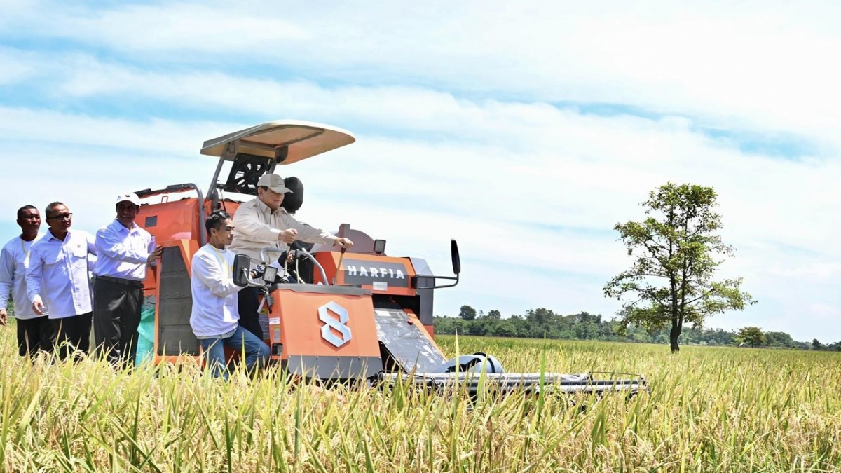 Demi Berantas Tikus di Sawah Majalengka, Prabowo Borong 1.000 Ekor Burung Hantu