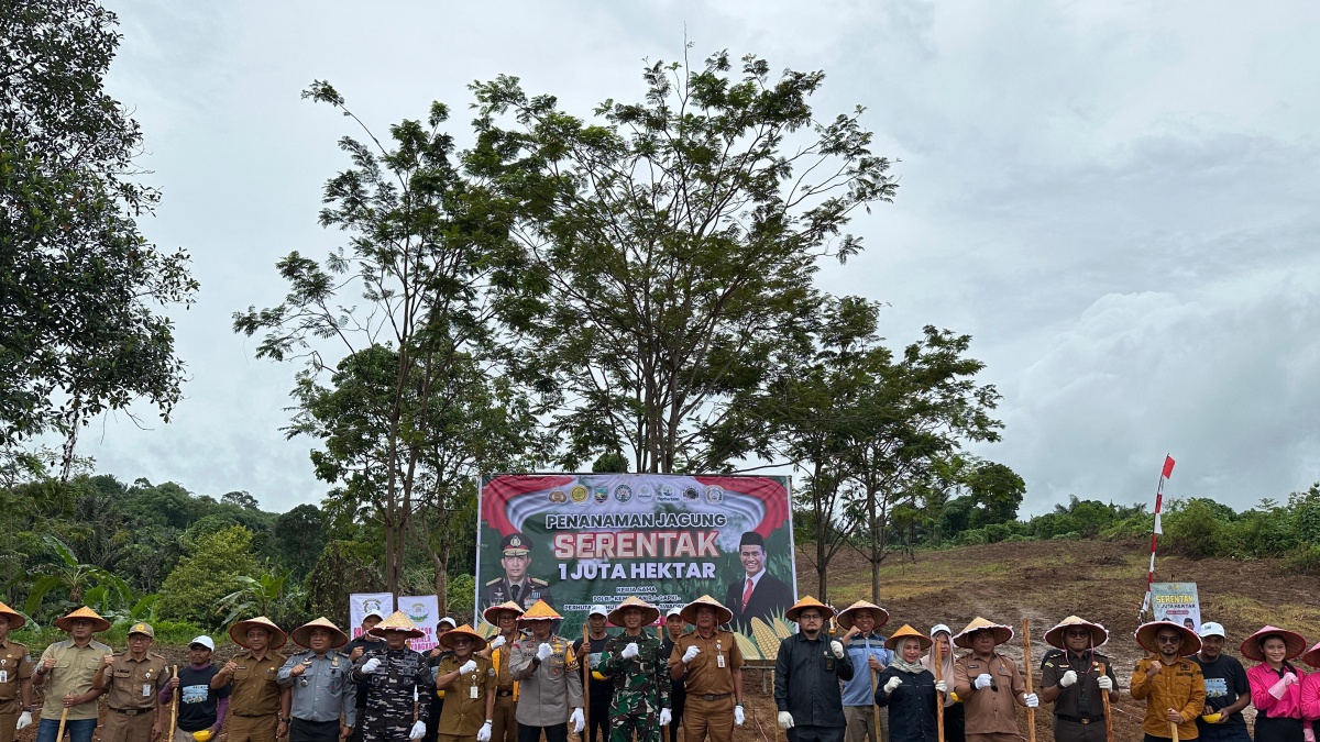 Arutmin Pacu Produktivitas Pertanian Lewat Penanaman Jagung Serentak