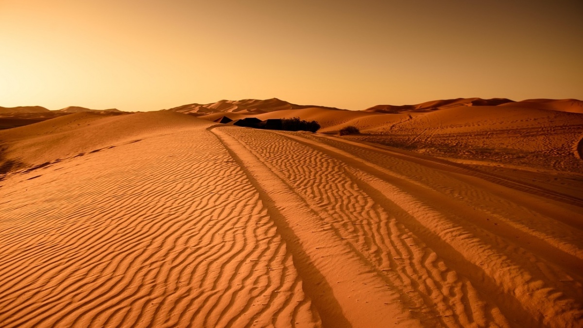 DNA Manusia Purba dari Afrika Utara Ungkap Sejarah Tersembunyi Gurun Sahara, Apa Itu?