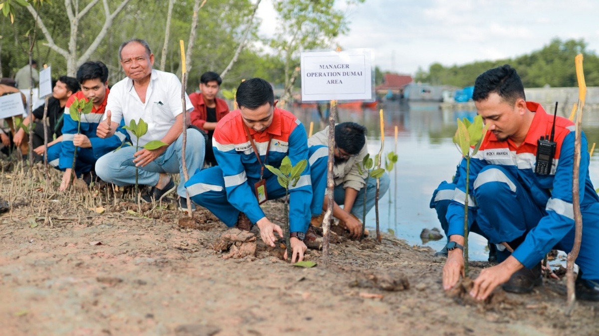 Hari Hutan Sedunia, Pertamina Perkuat Program Hutan Lestari untuk NZE 2060