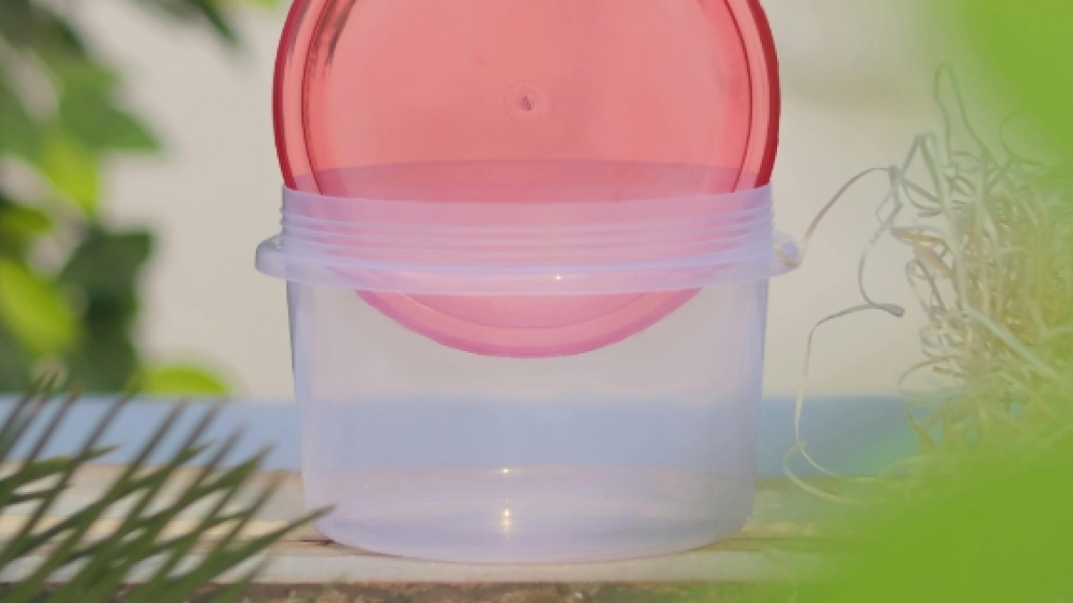 Siapa Pendiri Tupperware? Resmi Tutup di Indonesia setelah 33 Tahun