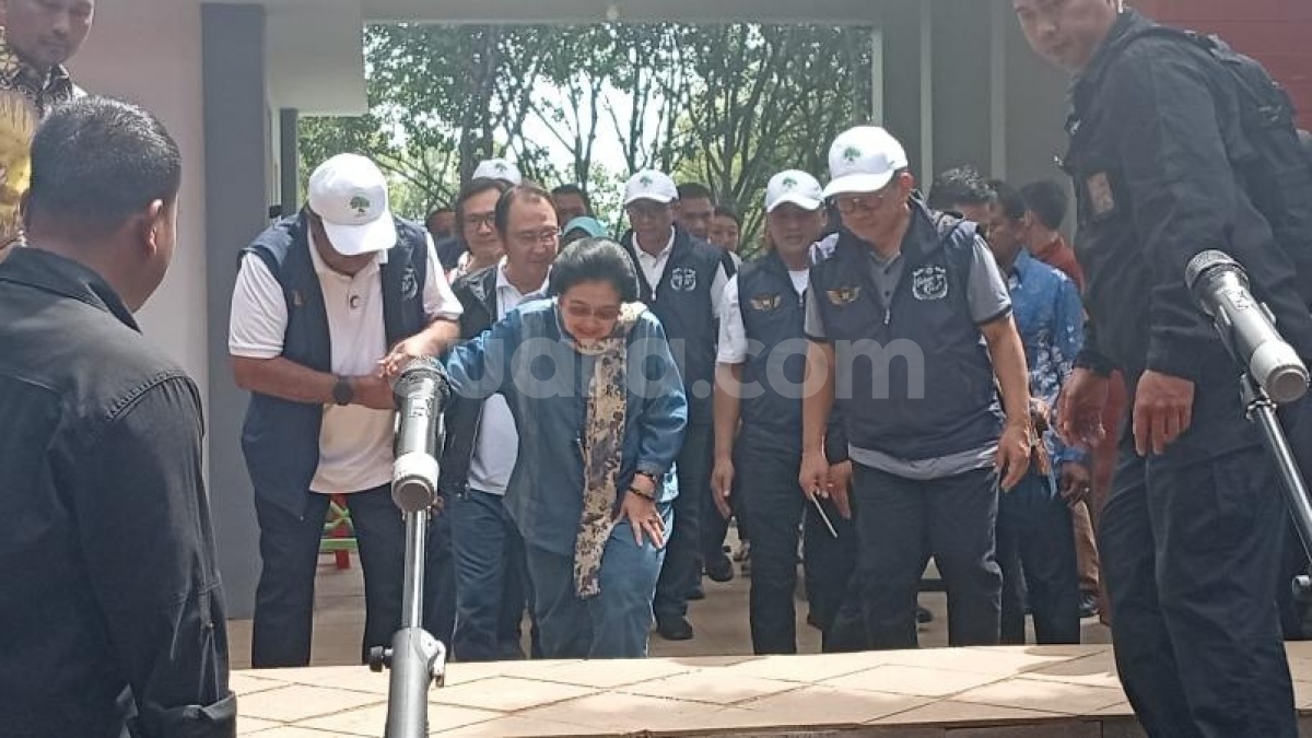 Ketum PDIP Ikut Tanam Mangrove di Jakarta, Pramono Anung: Bu Mega Punya Perhatian Khusus