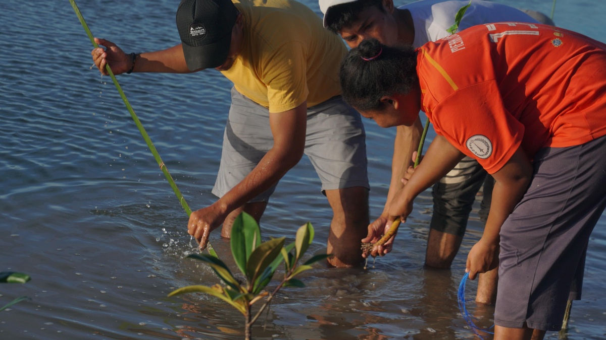 Aksi Masyarakat dan DLH Bersama GEF SGP Hijaukan Pesisir Wuihebo dengan Mangrove di Hari Bumi