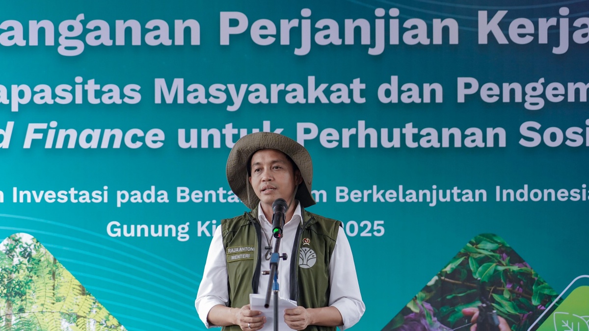 Menhut Ungkap Strategi Baru Penguatan Pasar Karbon Nasional