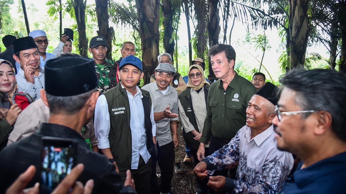 Menhut: Aren Untuk Swasembada Energi, Jadi Program Favorit Prabowo