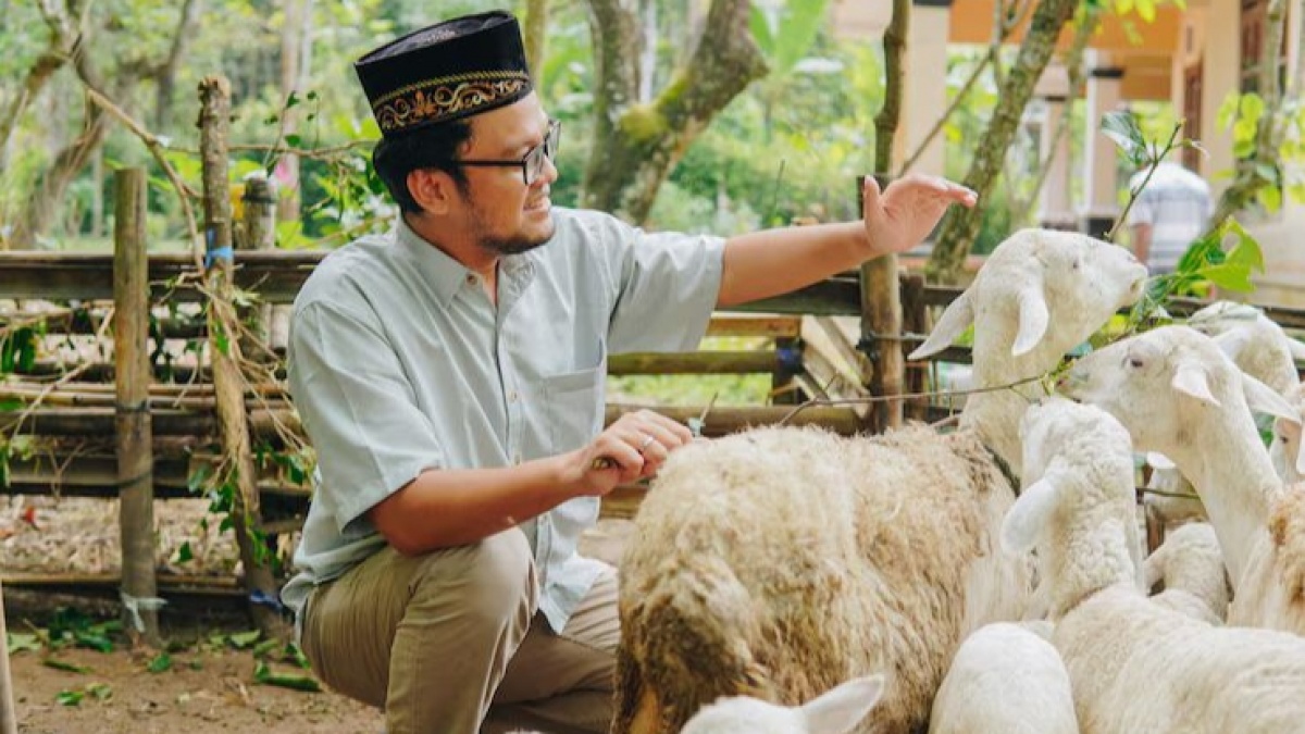 Syarat Hewan yang Boleh Dijadikan Qurban Agar Penyembelihan Idul Adha Sah